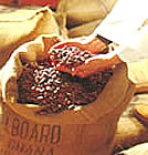 Cocoa